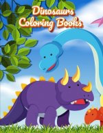 Dinosaurs Coloring Books: Dinosaur Activity Book For Toddlers and Adult Age, Childrens Books Animals For Kids Ages 3 4-8