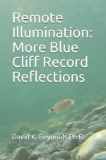 Remote Illumination: More Blue Cliff Record Reflections