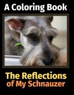 Reflections of My Schnauzer
