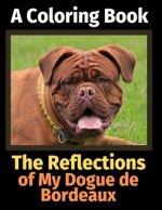 Reflections of My Dogue de Bordeaux
