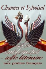 Les Sublimités: selfie littéraire