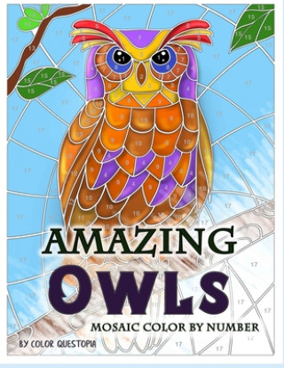 Amazing Owls Mosaic Color by Number
