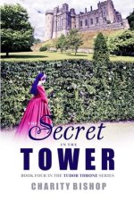 Secret in the Tower