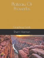 Plateau Of Proverbs: Graphing Grids