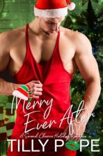 Merry Ever After: A Second Chance Holiday Romance