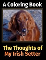 Thoughts of My Irish Setter
