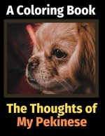 Thoughts of My Pekinese