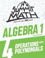 Summit Math Algebra 1 Book 4