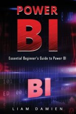 Power Bi: Essential Beginner's Guide to Power BI