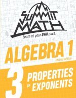 Summit Math Algebra 1 Book 3
