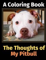Thoughts of My Pitbull