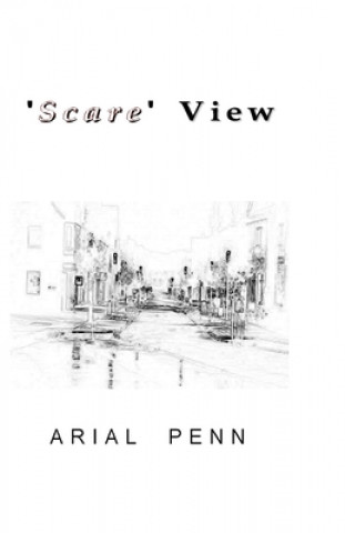 'Scare View'