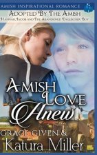 Amish Love Anew - Adopted by the Amish: Hannah, Jacob and The Abandoned Englischer Boy