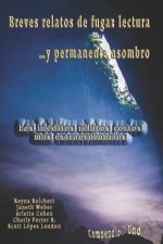 Breves relatos de fugaz lectura ...y permanente asombro: Los inéditos relatos cortos más extraordinarios