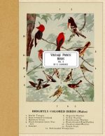 Vintage Prints: Birds: Vol. 4
