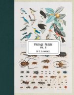 Vintage Prints: Vol. 6