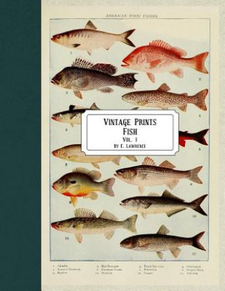 Vintage Prints: Fish: Vol. 1