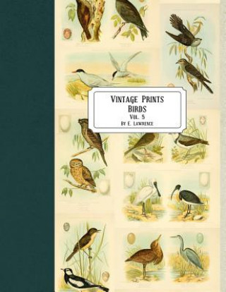 Vintage Prints: Birds: Vol. 5