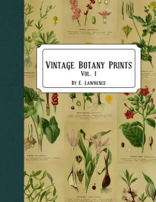 Vintage Botany Prints: Vol. 1