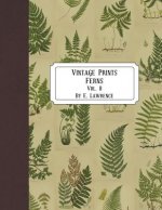 Vintage Prints: Ferns: Vol. 8