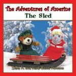 Adventures of Amerina
