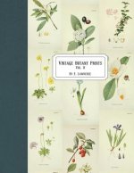 Vintage Botany Prints: Vol. 8