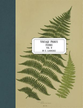 Vintage Prints: Ferns: Vol. 9