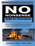 No Nonsense Guide for Intercessors: Building and Maintaining Healthy Houses of Prayer and Apostolic Prayer Ministries for the Kingdom of God