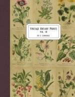 Vintage Botany Prints: Vol. 10