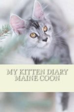 My kitten diary: Maine coon