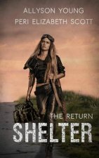 Shelter: the return