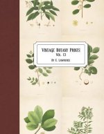 Vintage Botany Prints: Vol. 13