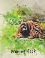 Drawing Book: Orangutang
