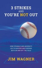 3 Strikes And You're NOT Out: How struggle and adversity led to success and purpose on and off the field.