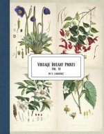 Vintage Botany Prints: Vol. 14
