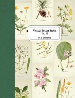 Vintage Botany Prints: Vol. 16