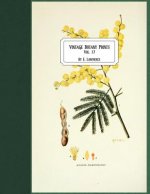 Vintage Botany Prints: Vol. 17