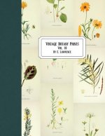 Vintage Botany Prints: Vol. 18