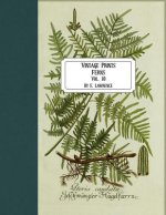 Vintage Prints: Ferns: Vol. 10