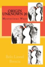 Origin Unknown 20: Mysterious Ways