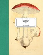 Vintage Prints: Mushrooms: Vol. 3