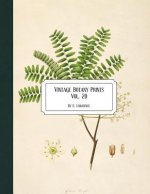 Vintage Botany Prints: Vol. 20