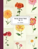 Vintage Botany Prints: Vol. 21
