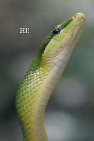 Hi!