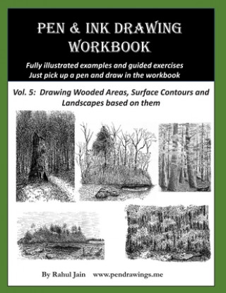 Pen and Ink Drawing Workbook Vol 5: Learn to Draw Pleasing Pen & Ink Landscapes