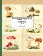 Vintage Prints: Mushrooms: Vol. 5