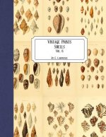 Vintage Prints: Shells: Vol. 6