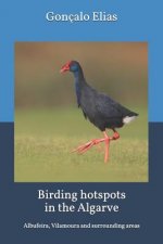 Birding hotspots in the Algarve: Albufeira, Vilamoura and surrounding areas
