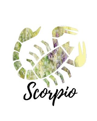 Scorpio: Scorpio Cornell Notes