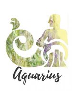 Aquarius: Aquarius Cornell Notes